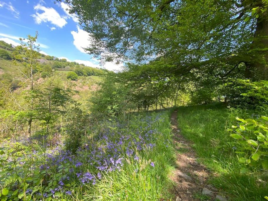 Holiday home The Crest Hillside Retreat With Hot Tub Abertillery